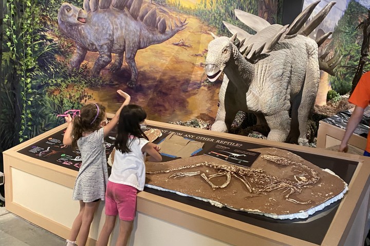 Kids waving at Dinosaurs